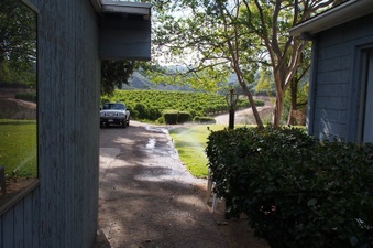 Enlarge photo 145