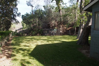 Enlarge photo 152