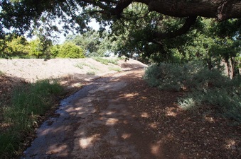 Enlarge photo 153