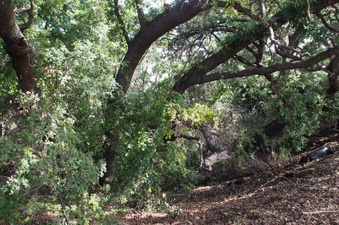 Enlarge photo 154