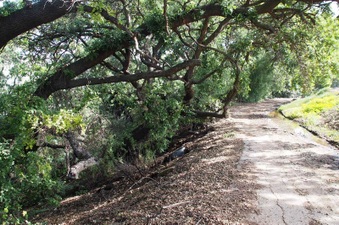 Enlarge photo 155