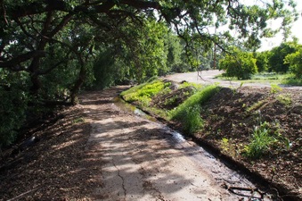 Enlarge photo 156