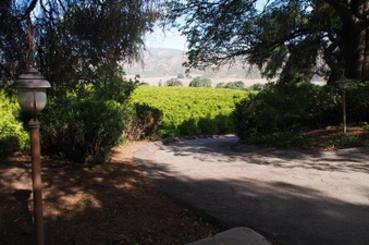 Enlarge photo 159