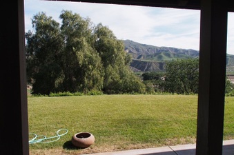Enlarge photo 199