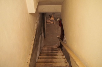 Enlarge photo 213