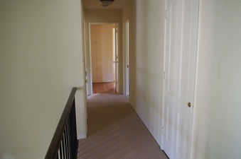 Enlarge photo 217