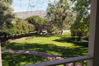 Enlarge photo 230