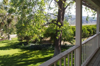 Enlarge photo 231