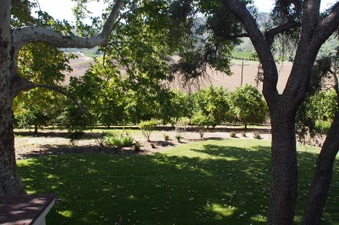 Enlarge photo 233