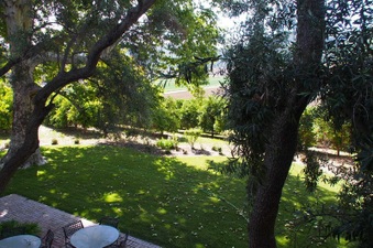 Enlarge photo 239