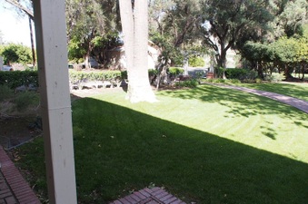 Enlarge photo 241