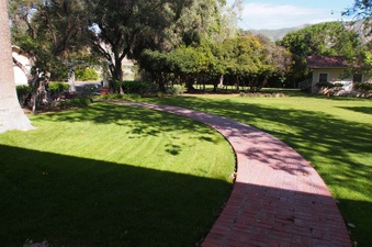 Enlarge photo 242