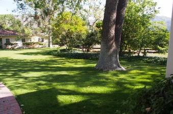 Enlarge photo 244