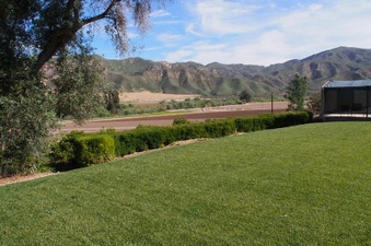 Enlarge photo 259