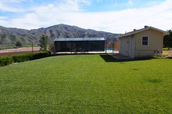 Enlarge photo 260