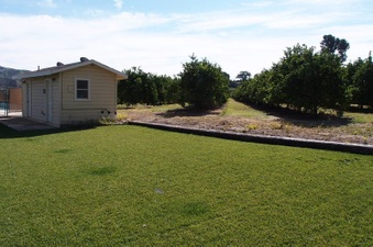 Enlarge photo 261