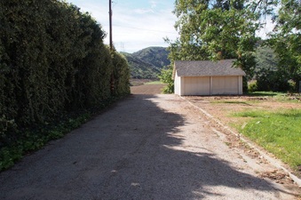 Enlarge photo 267