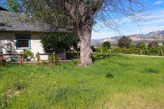 Enlarge photo 271