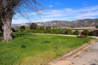 Enlarge photo 272