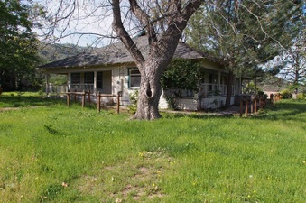 Enlarge photo 274