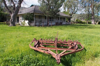 Enlarge photo 275