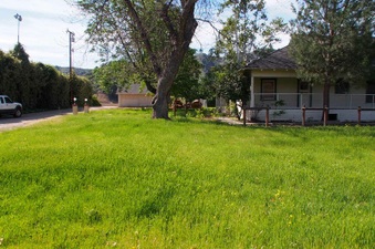 Enlarge photo 276