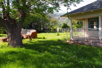 Enlarge photo 288