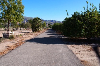 Enlarge photo 297
