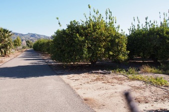 Enlarge photo 298