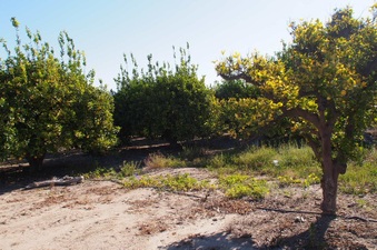 Enlarge photo 299