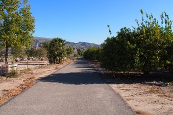Enlarge photo 302