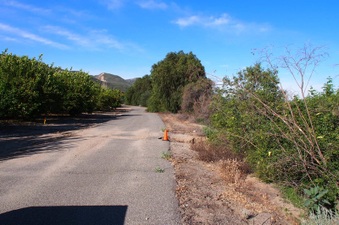 Enlarge photo 303