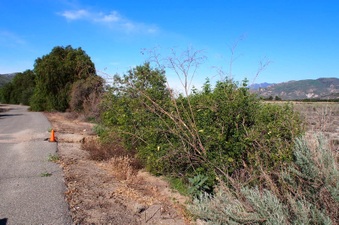 Enlarge photo 304