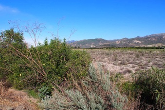 Enlarge photo 305