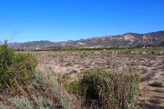 Enlarge photo 306