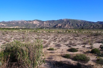 Enlarge photo 307