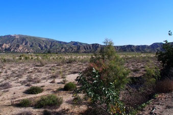 Enlarge photo 308