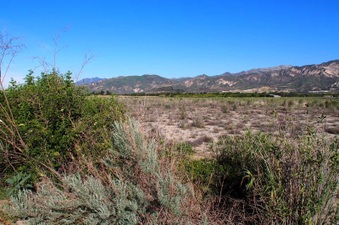 Enlarge photo 309