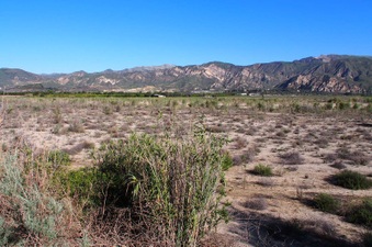 Enlarge photo 310