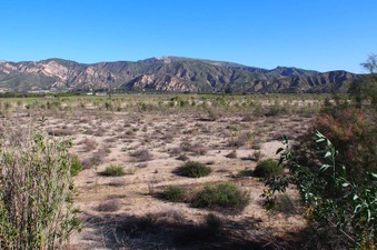 Enlarge photo 311