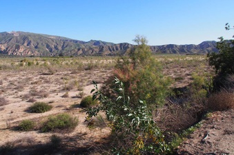 Enlarge photo 312