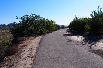 Enlarge photo 313
