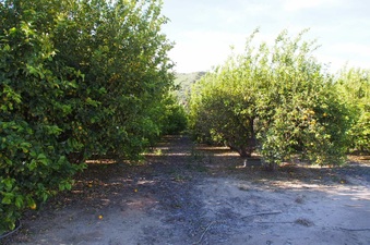 Enlarge photo 314