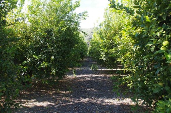 Enlarge photo 318