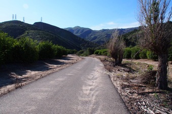 Enlarge photo 319