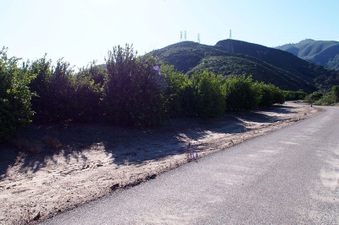 Enlarge photo 320