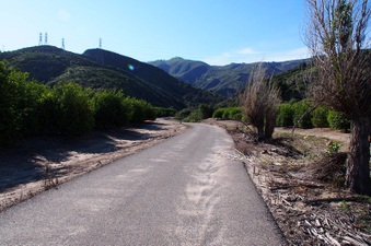 Enlarge photo 321