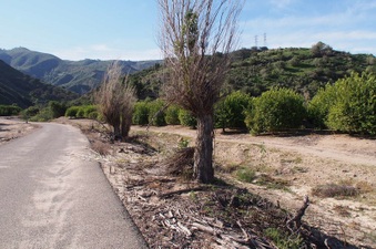 Enlarge photo 322