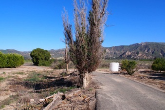 Enlarge photo 323
