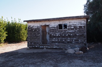 Enlarge photo 325